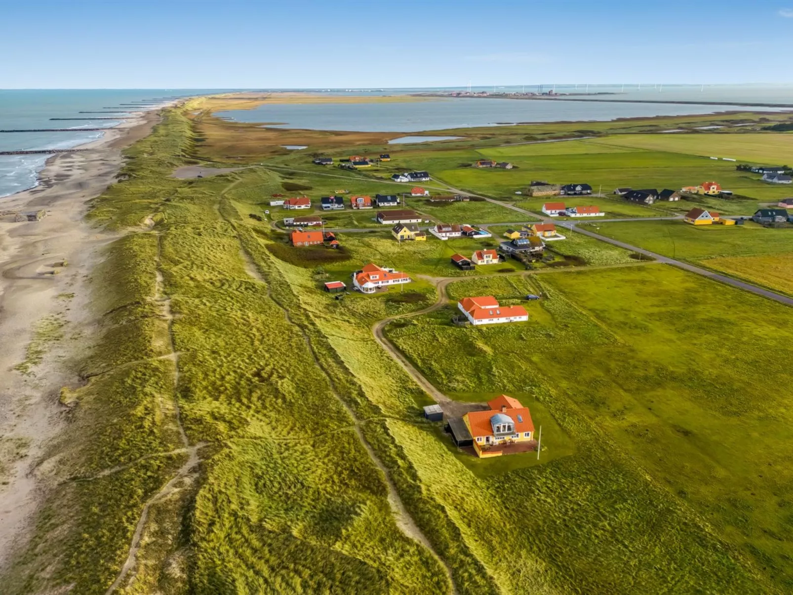 "Ali" - 75m from the sea