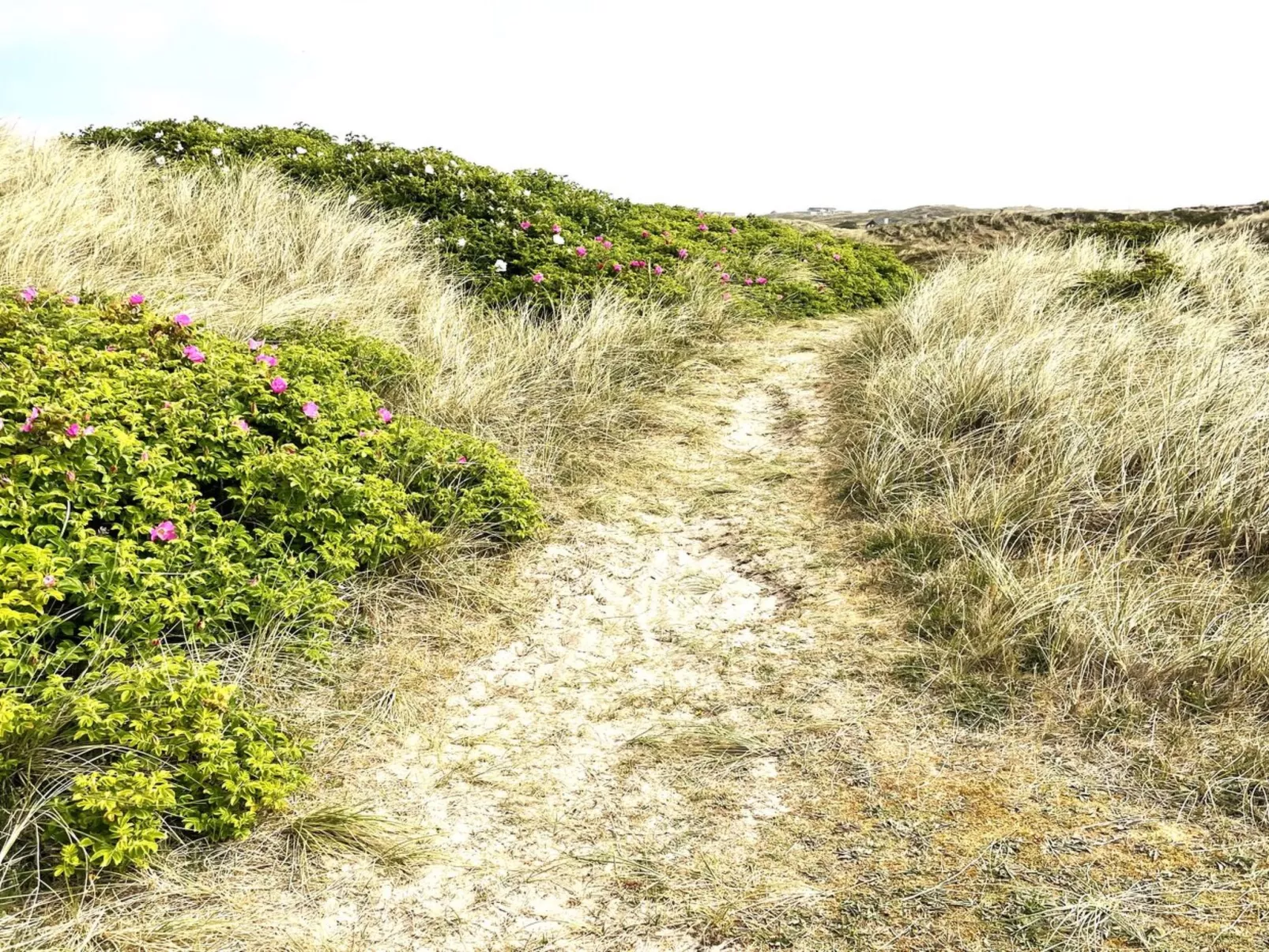 "Carelle" - 300m from the sea