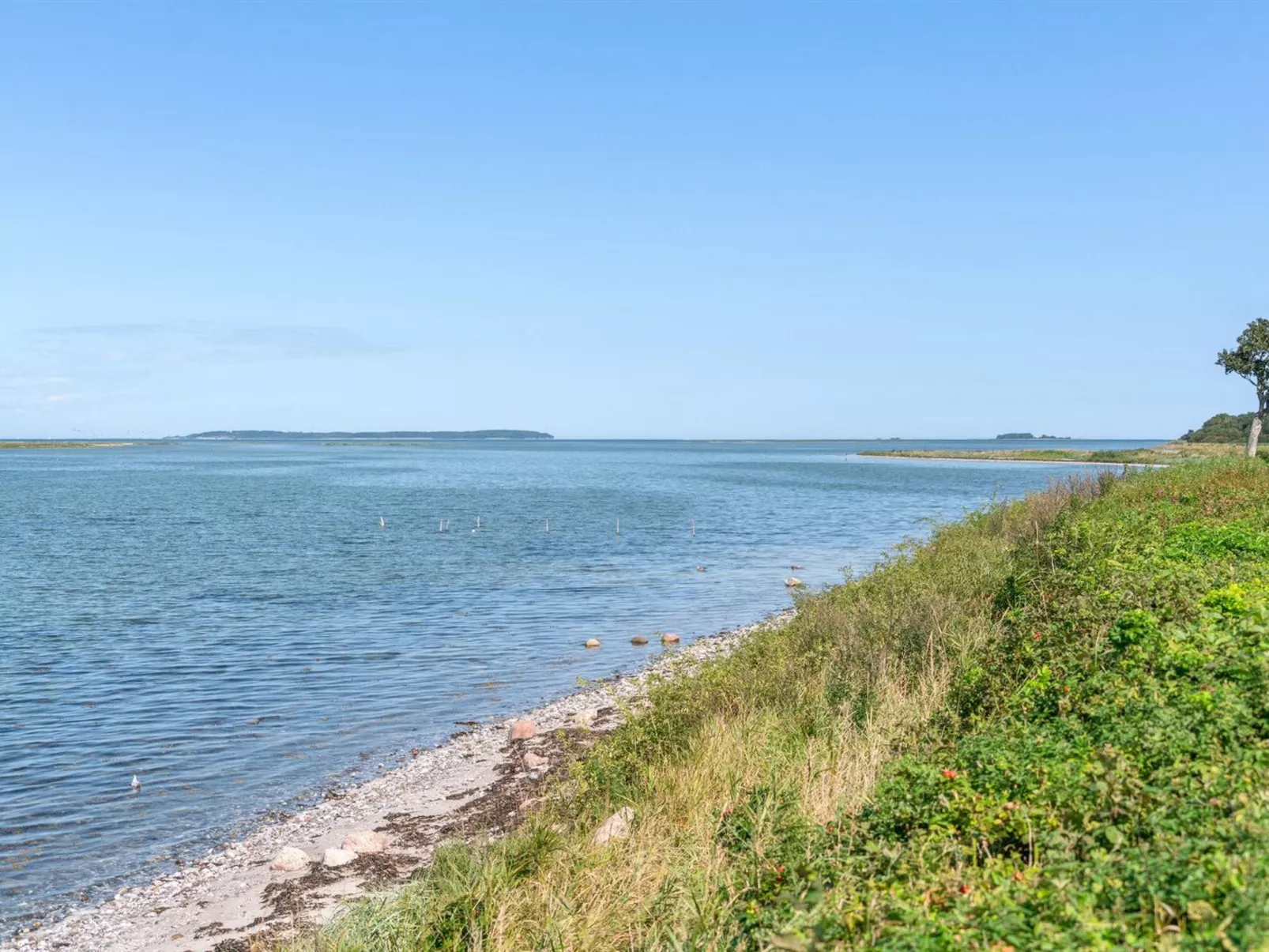 "Nomi" - 85m from the sea