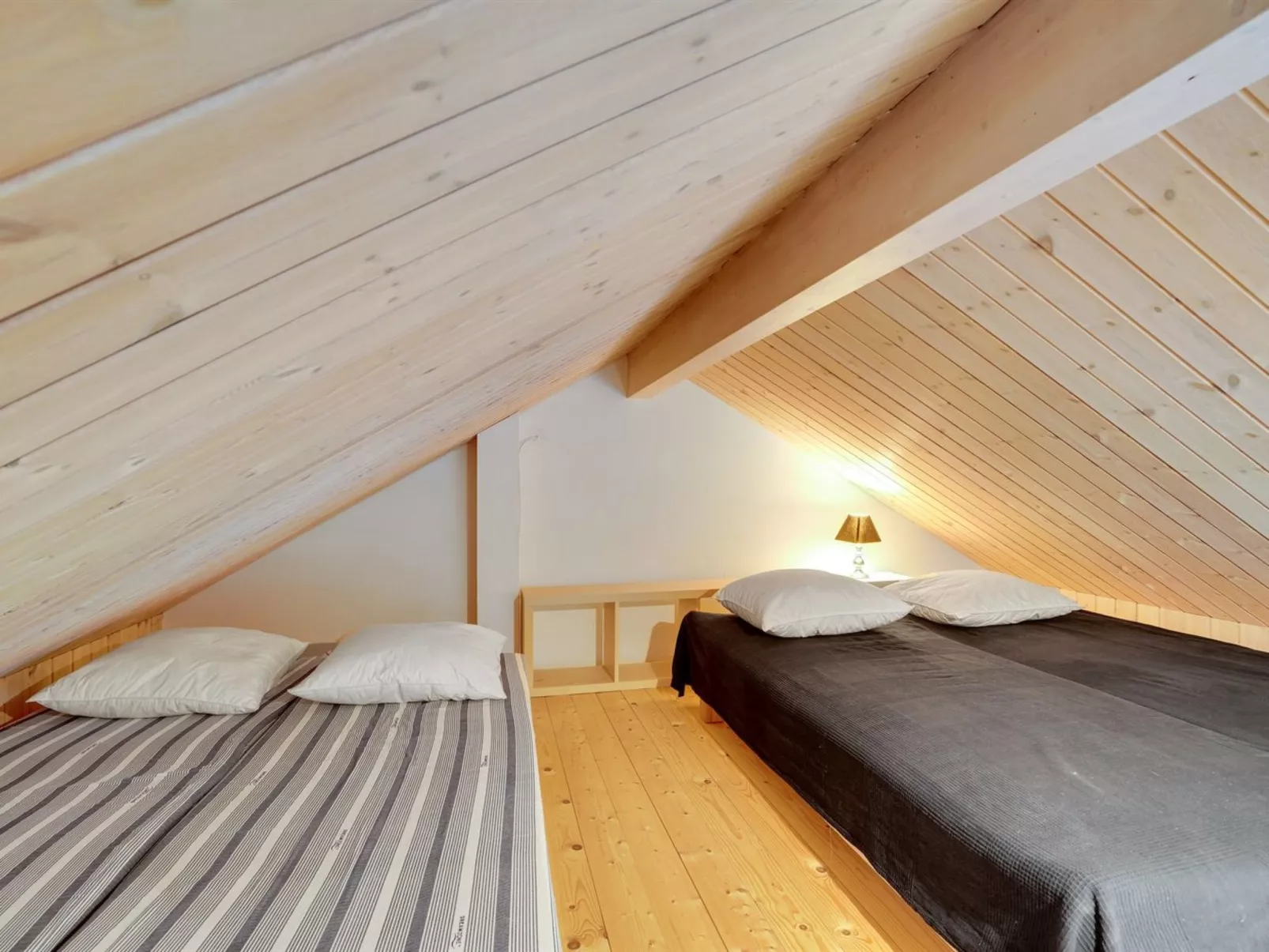 "Daina" - 400m to the fjord