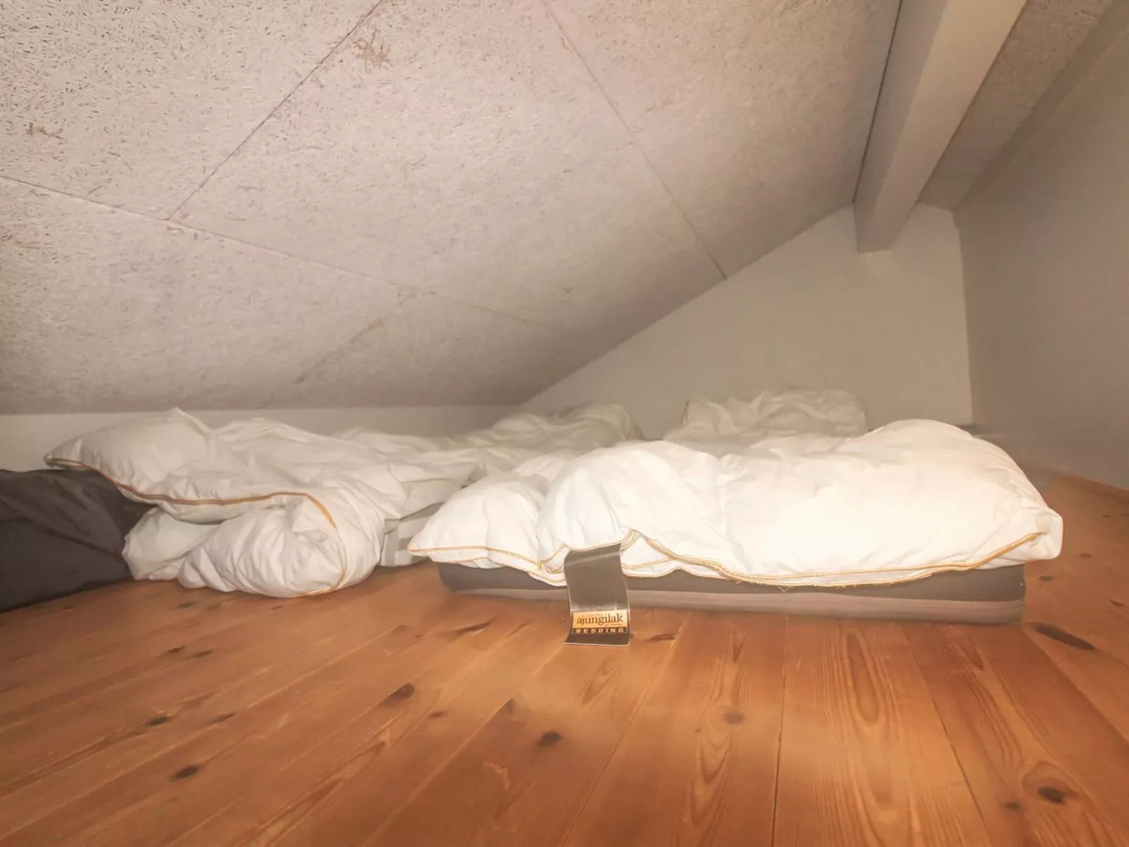 "Clea" - 200m from the sea