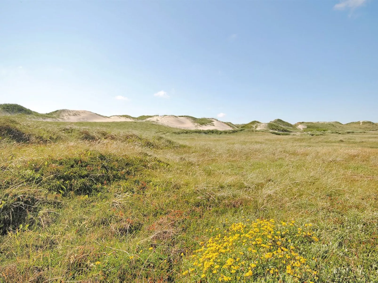 "Riborg" -  from the sea