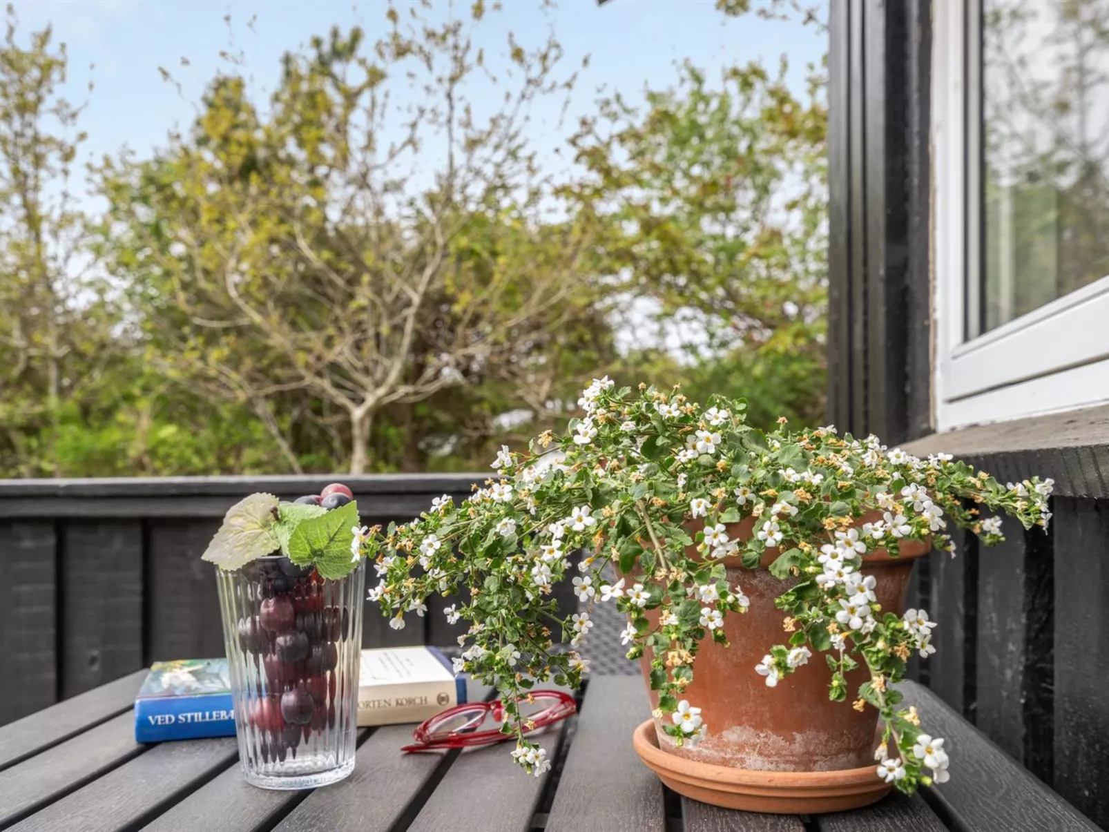 "Birette" - 1.5km from the sea