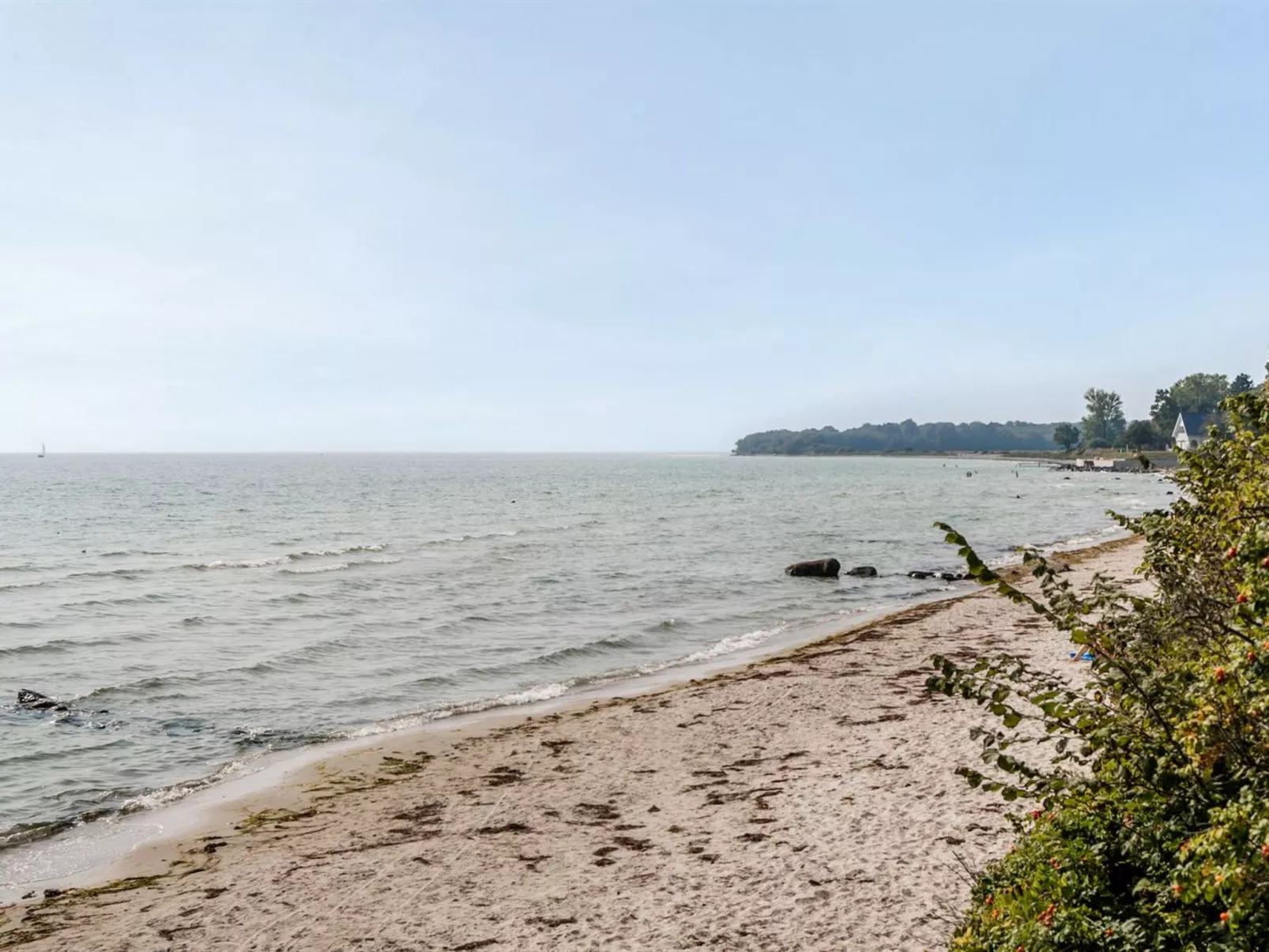 "Ilkka" - 175m from the sea