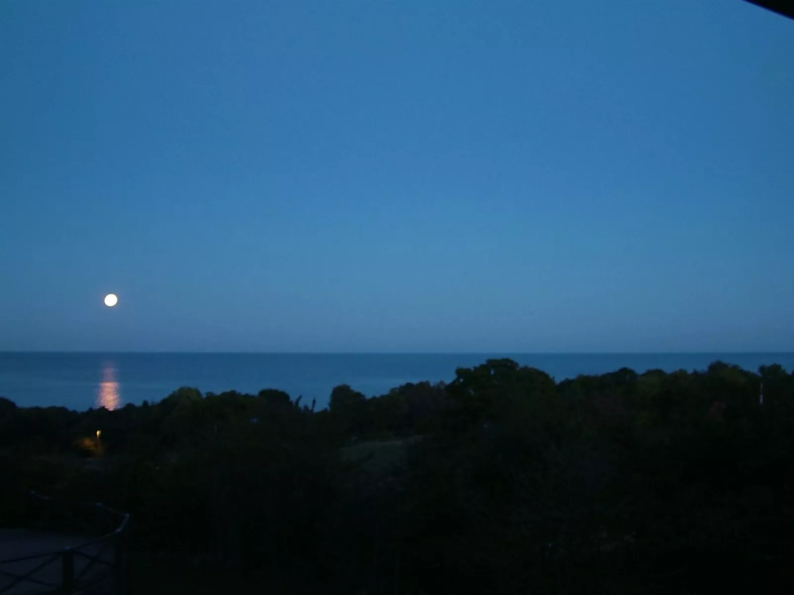 "Iikka" - 300m from the sea