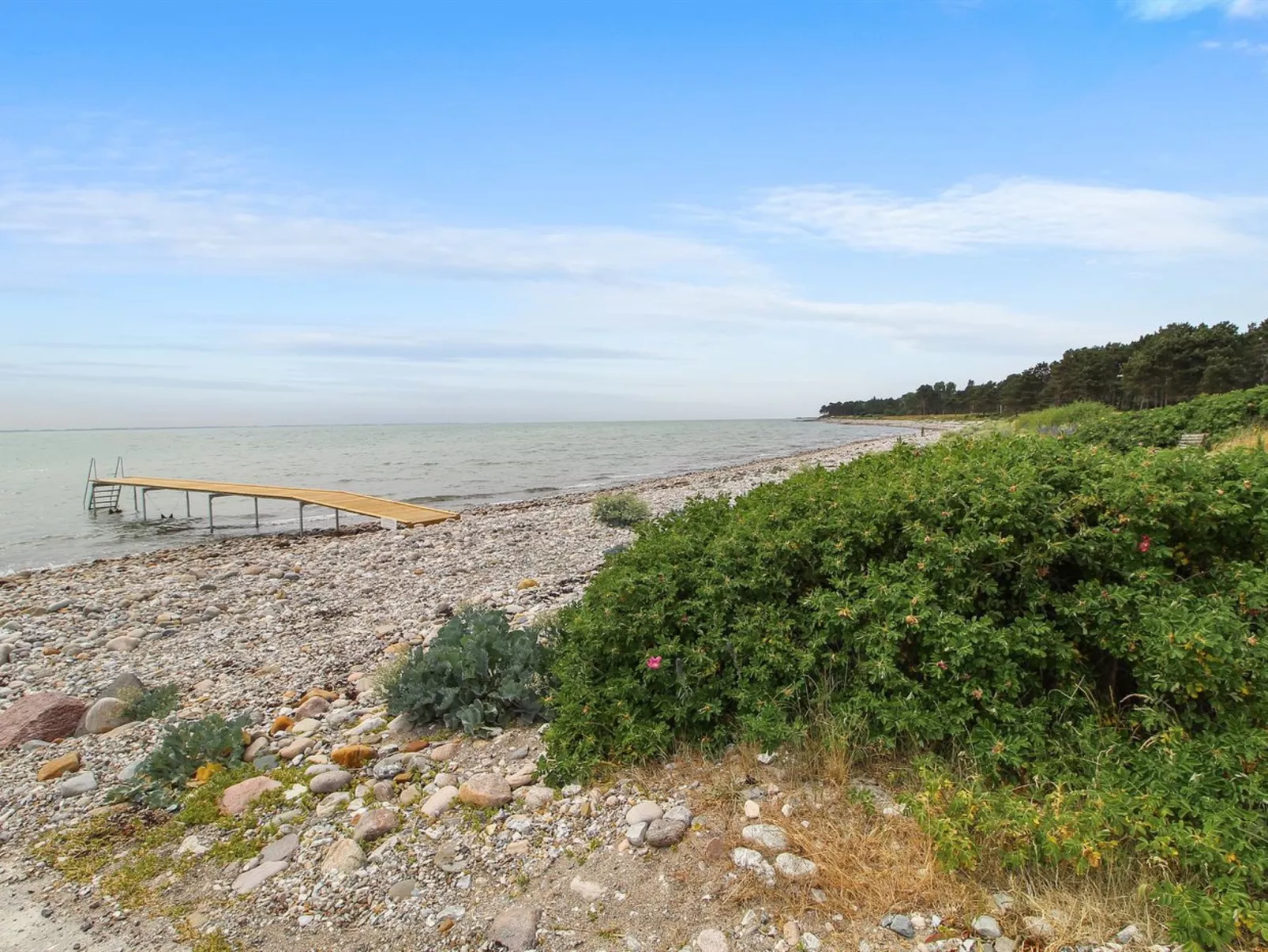 "Rik" - 350m from the sea