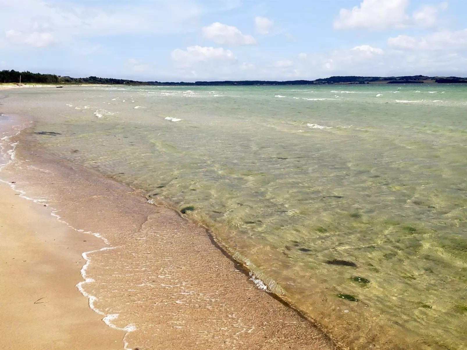 "Raafael" - 175m from the sea