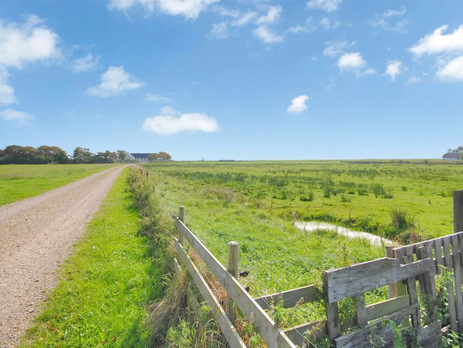 "Leocadia" - 150m to the fjord