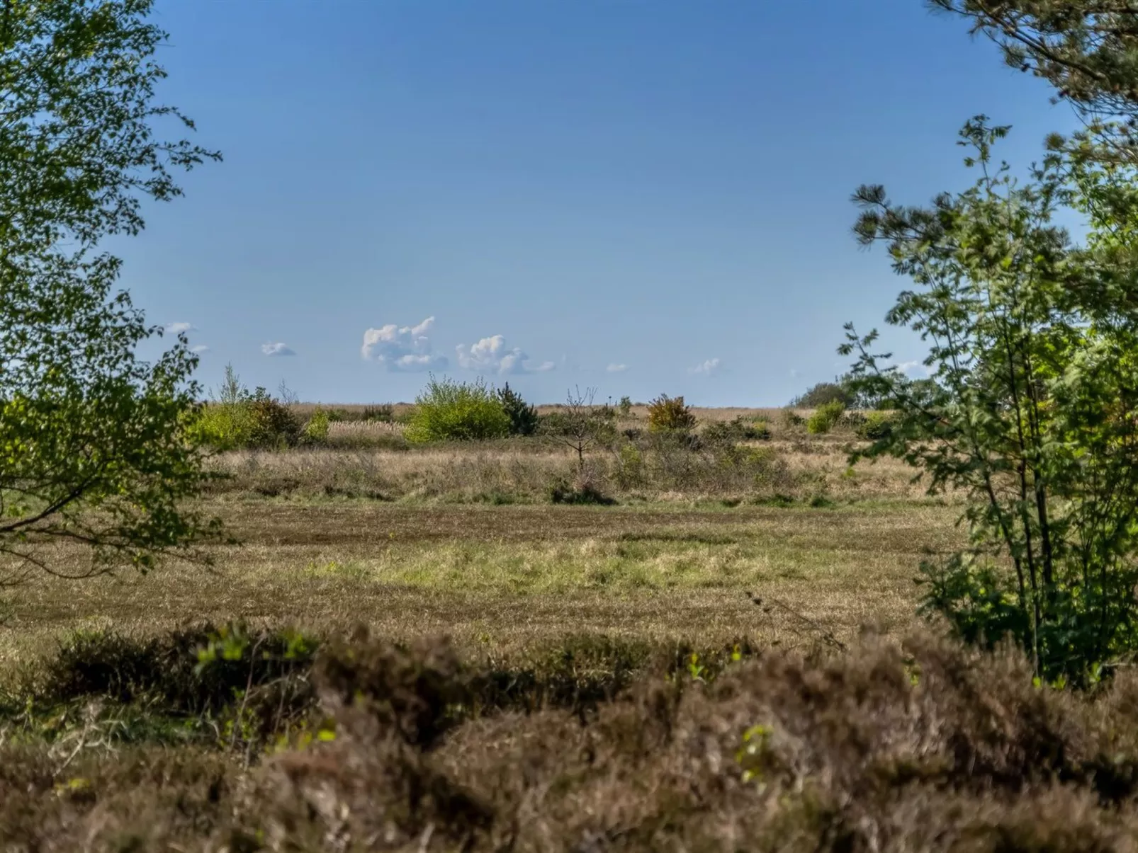 "Annestine" - 200m from the sea