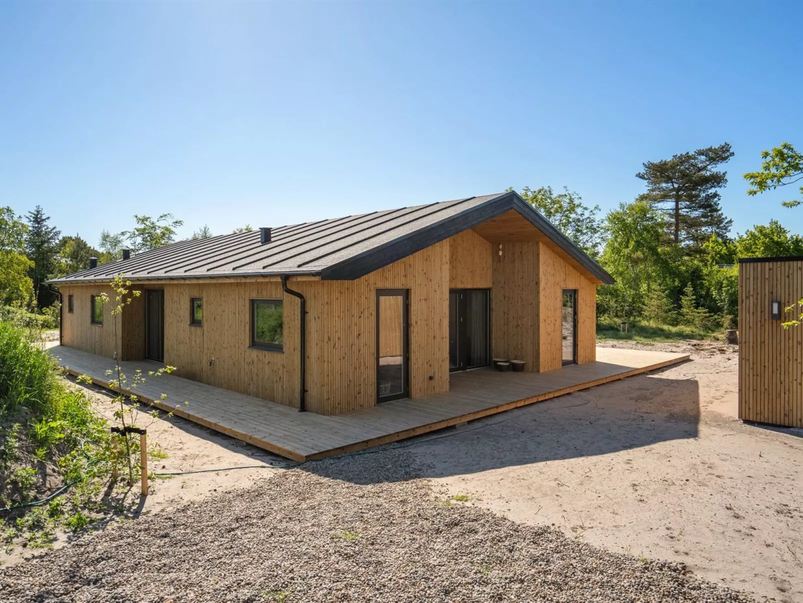 "Ileana" -  from the sea