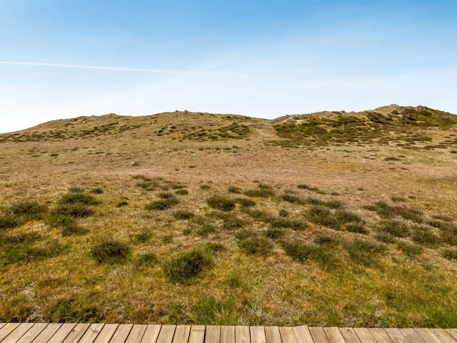 "Larsen" - 900m from the sea