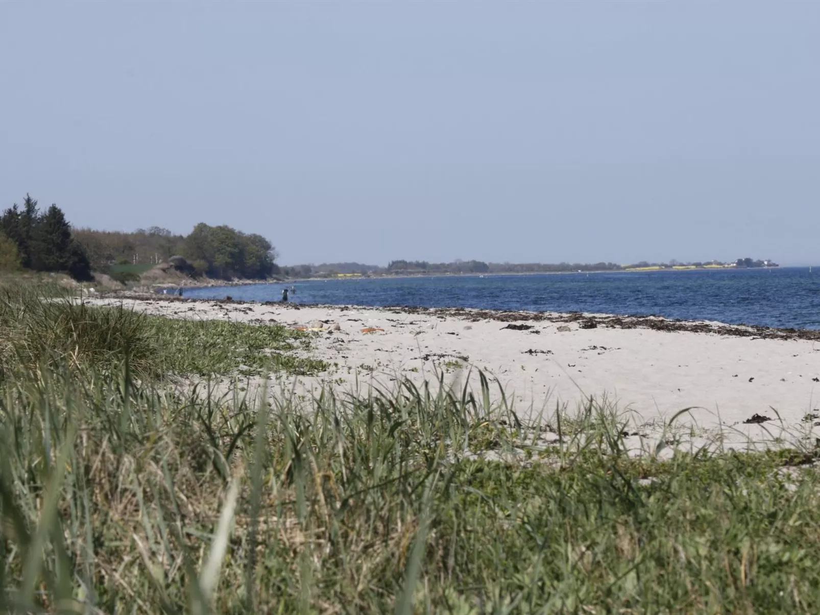 "Bridgette" - 100m from the sea