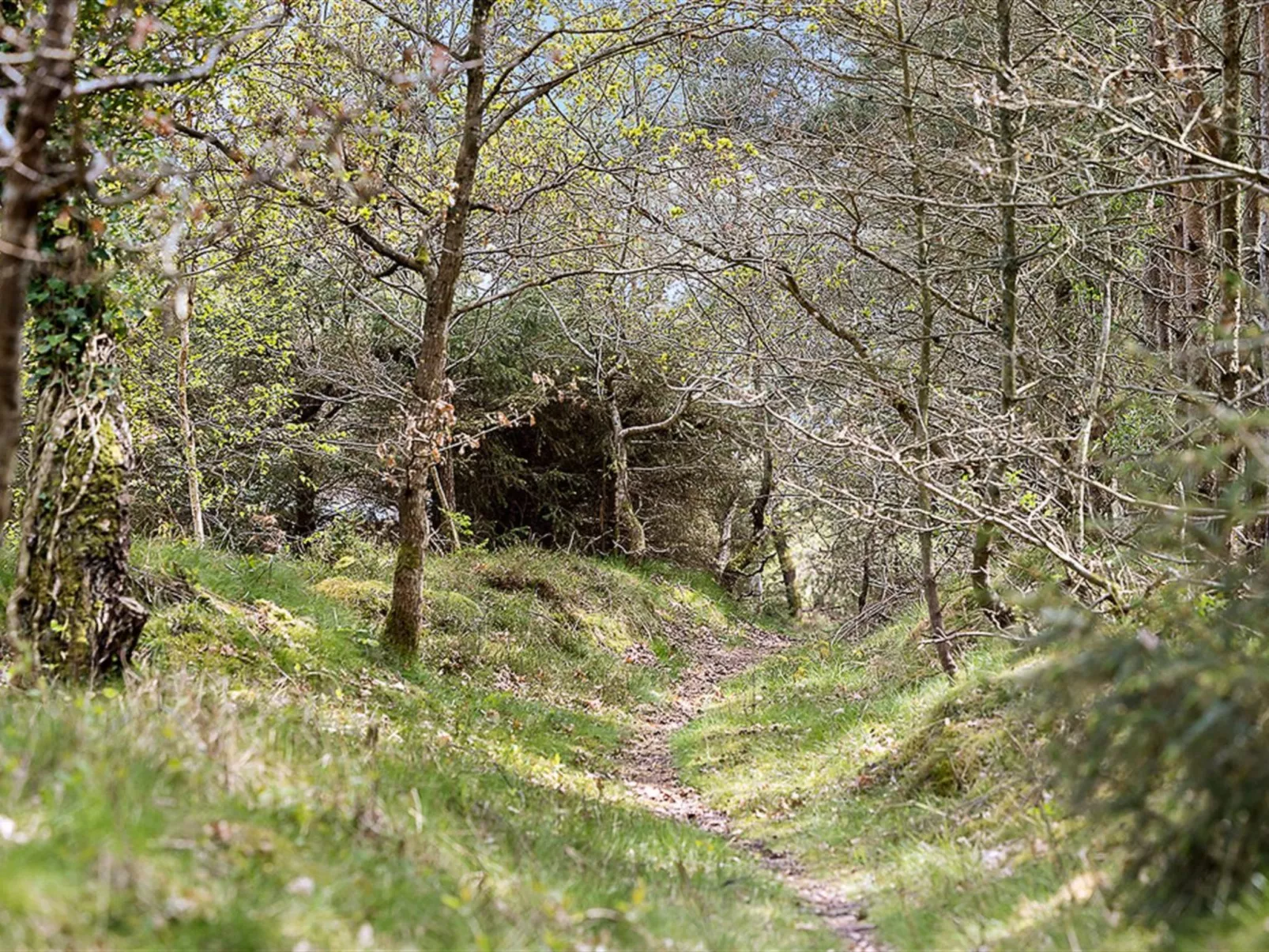 "Amabel" - 200m from the sea