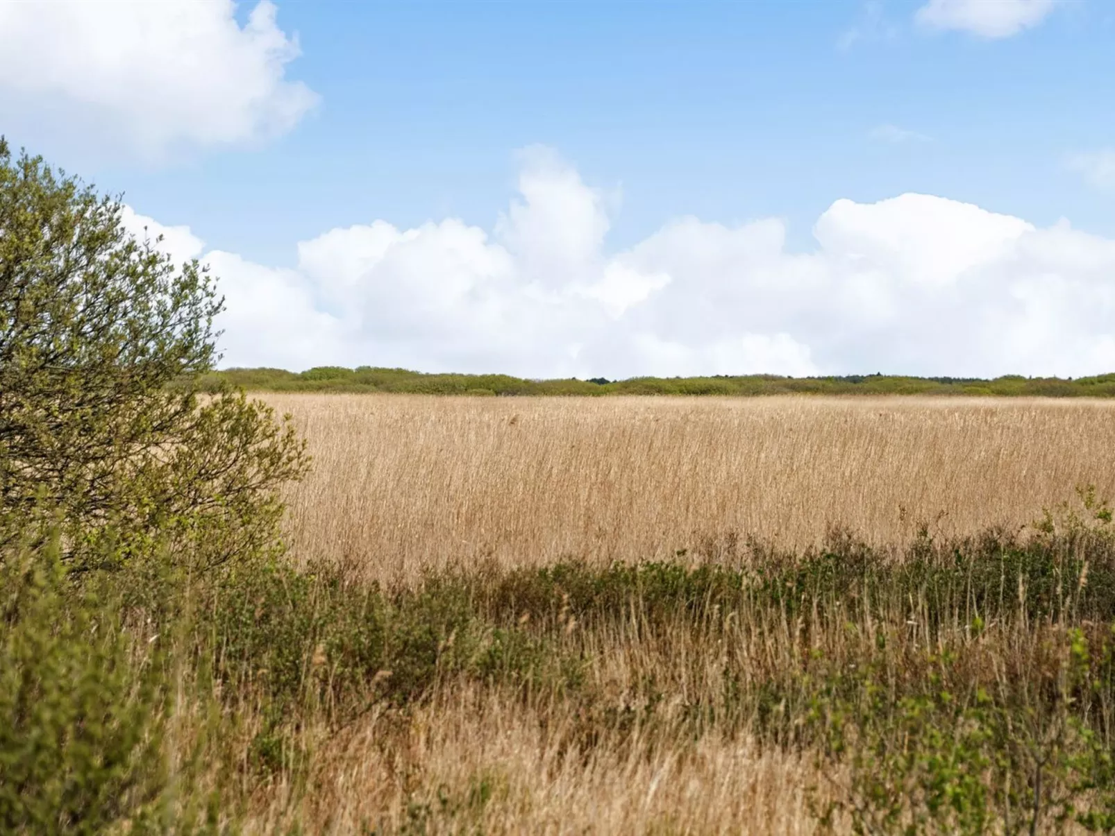 "Hermandine" - 700m from the sea