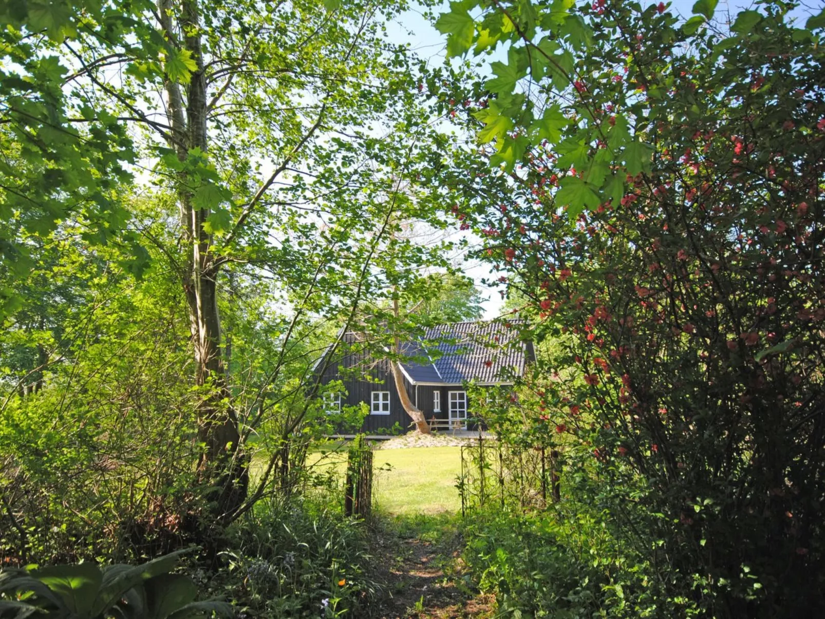 "Mandana" - 10km to the fjord