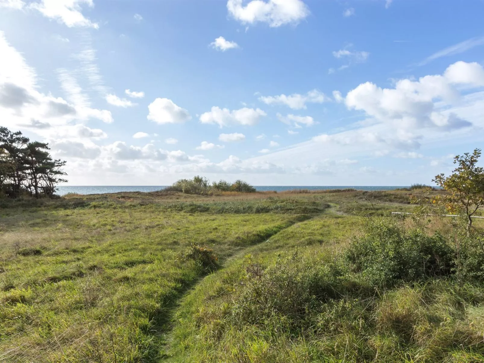 "Kajsa" - 50m from the sea