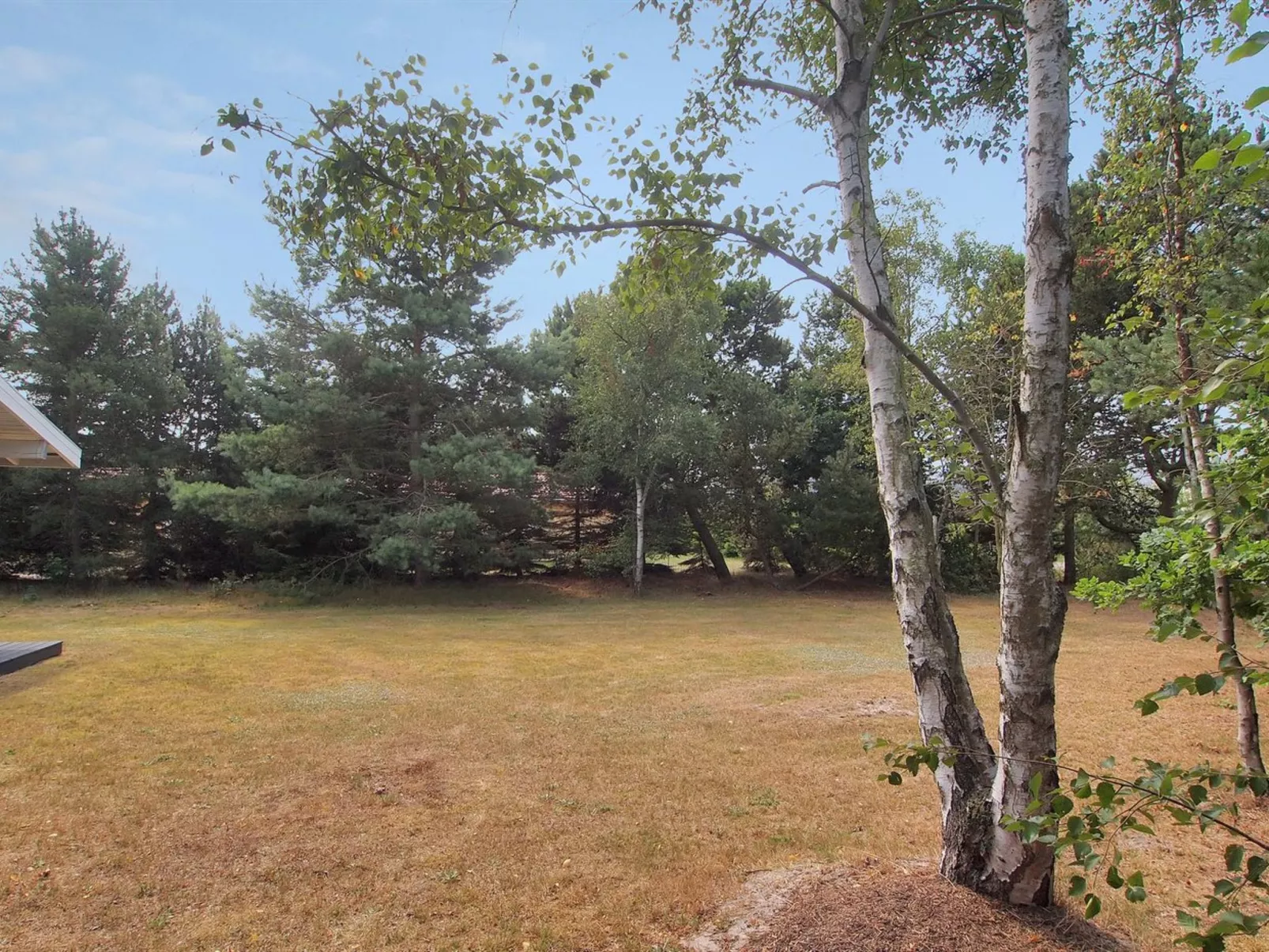 "Aileen" - 900m from the sea