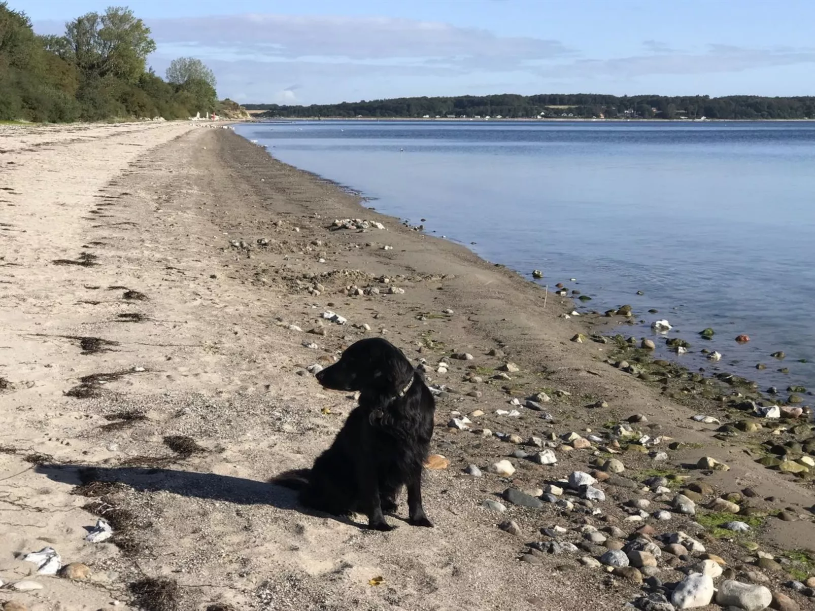 "Lander" - 20m from the sea