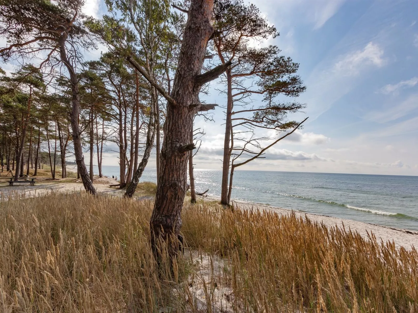 "Hildegerd" - 500m from the sea