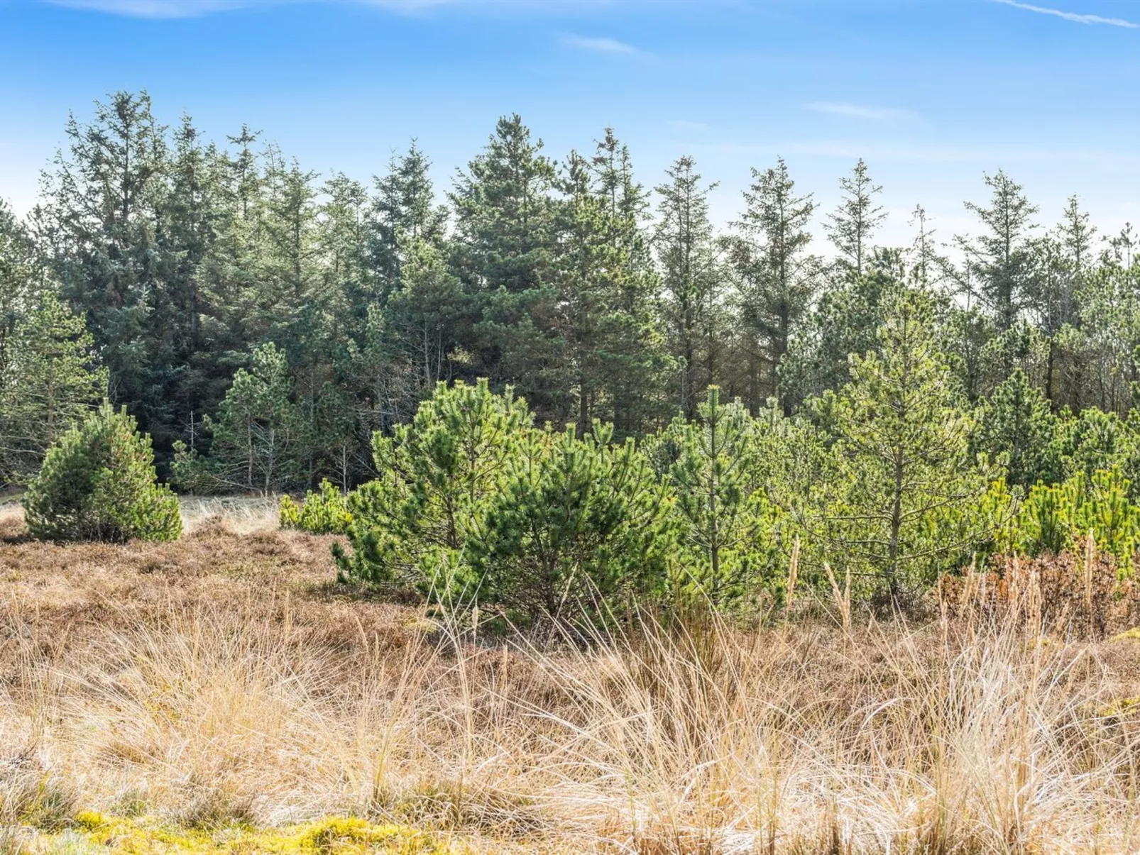 "Vappu" - 400m to the fjord