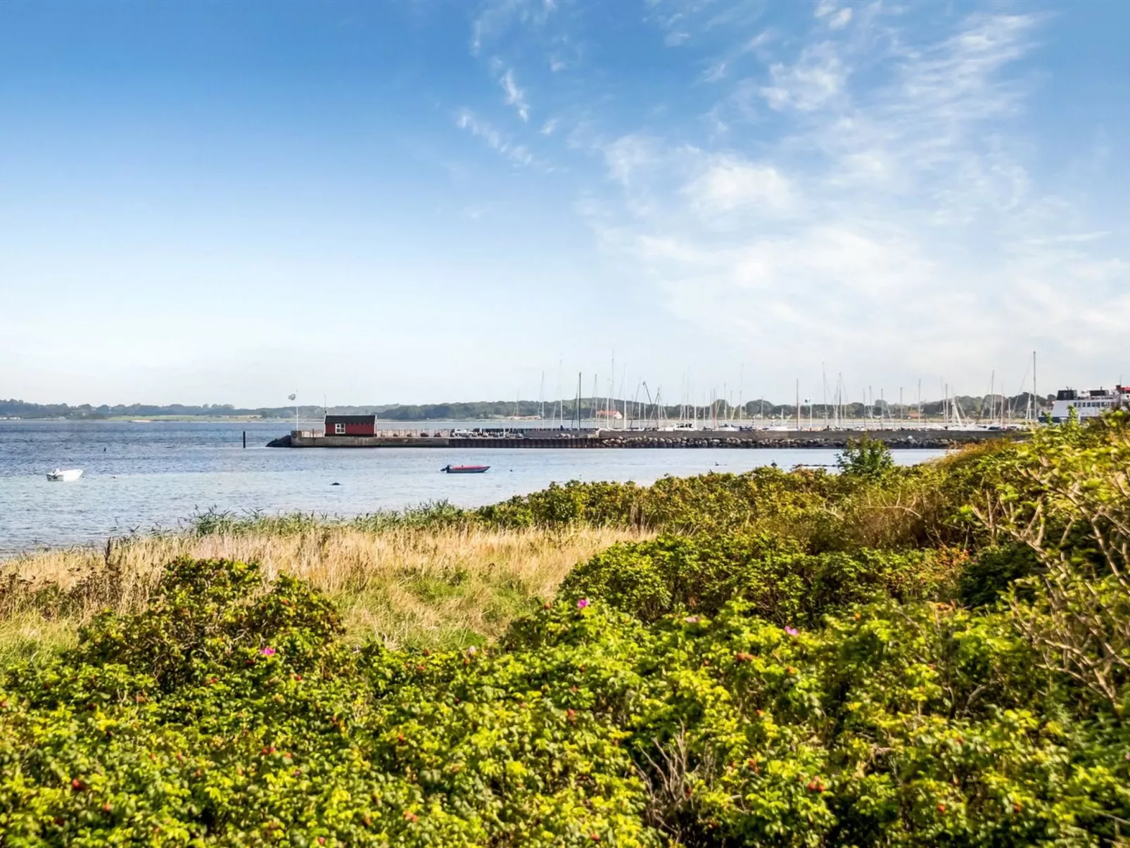 "Varma" - 25m from the sea