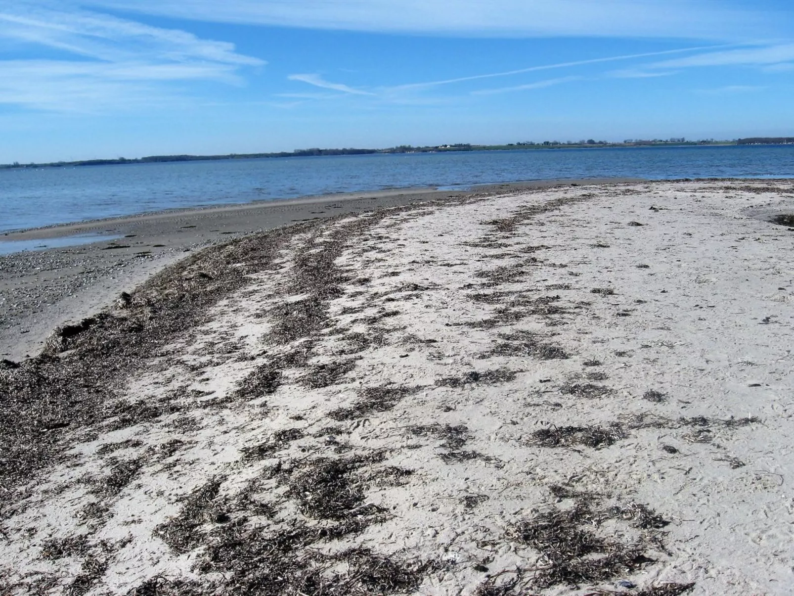 "Eddy" - 50m from the sea