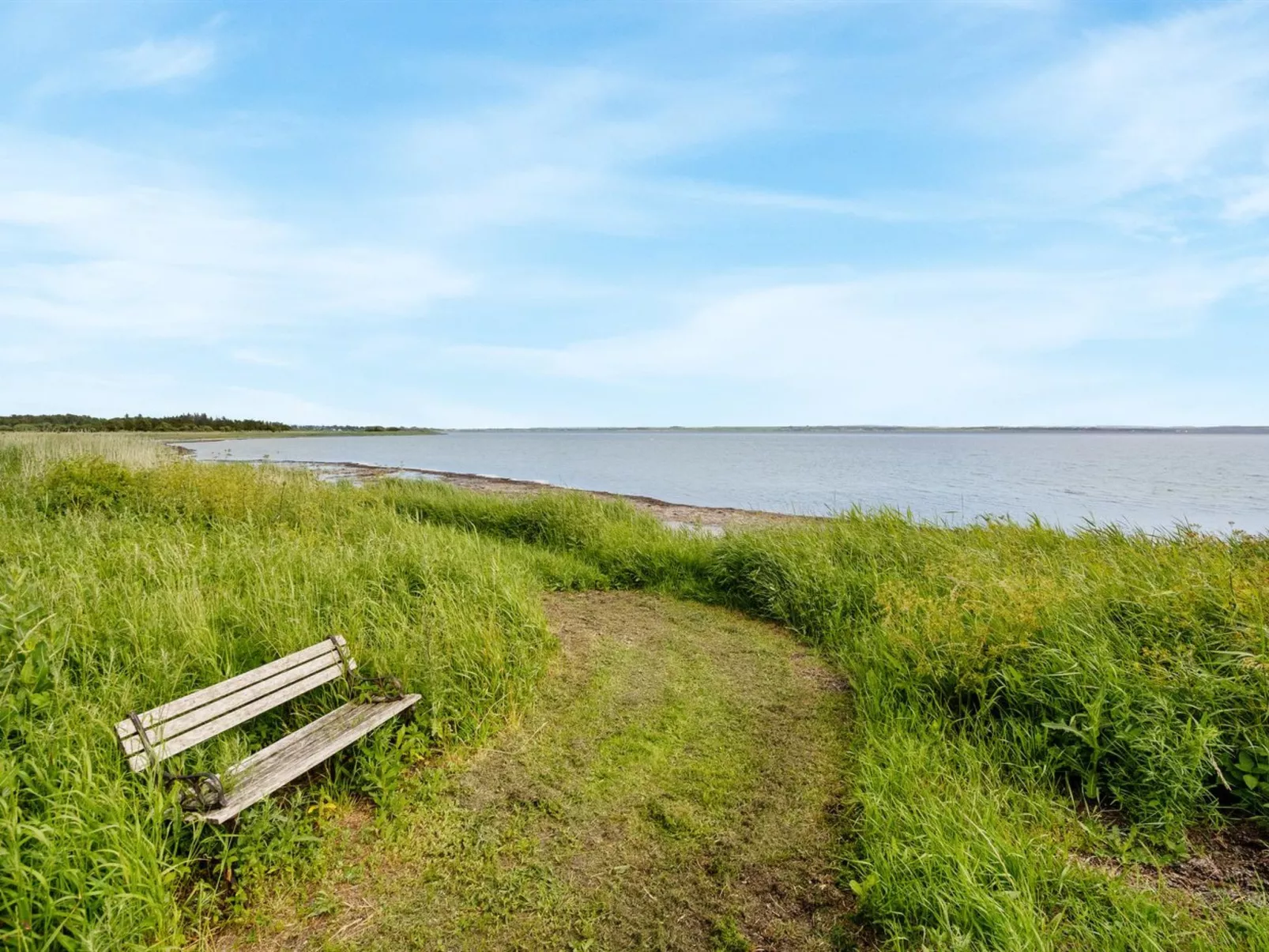 "Ødger" - 150m to the fjord