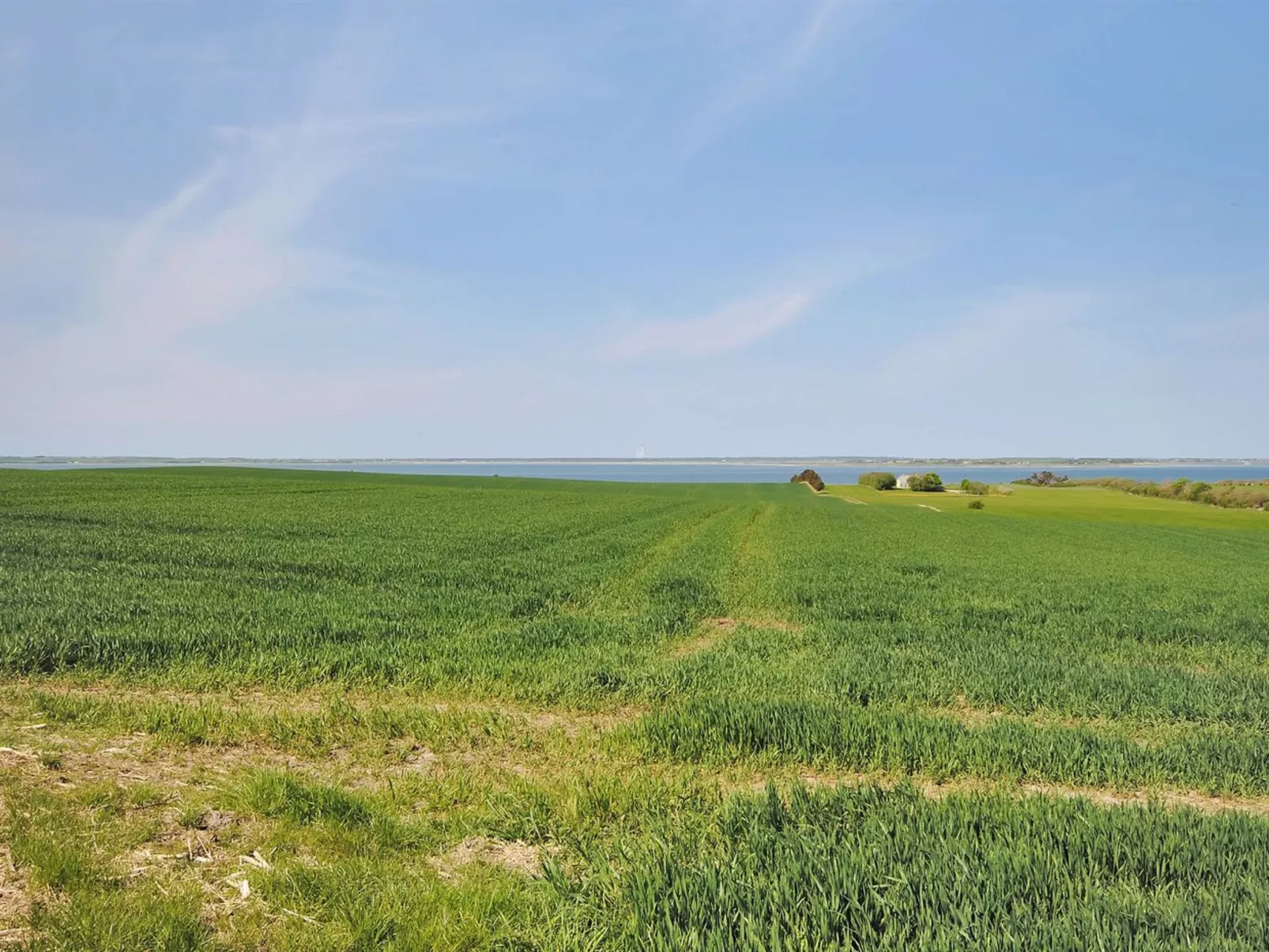 "Alois" - 1km to the fjord