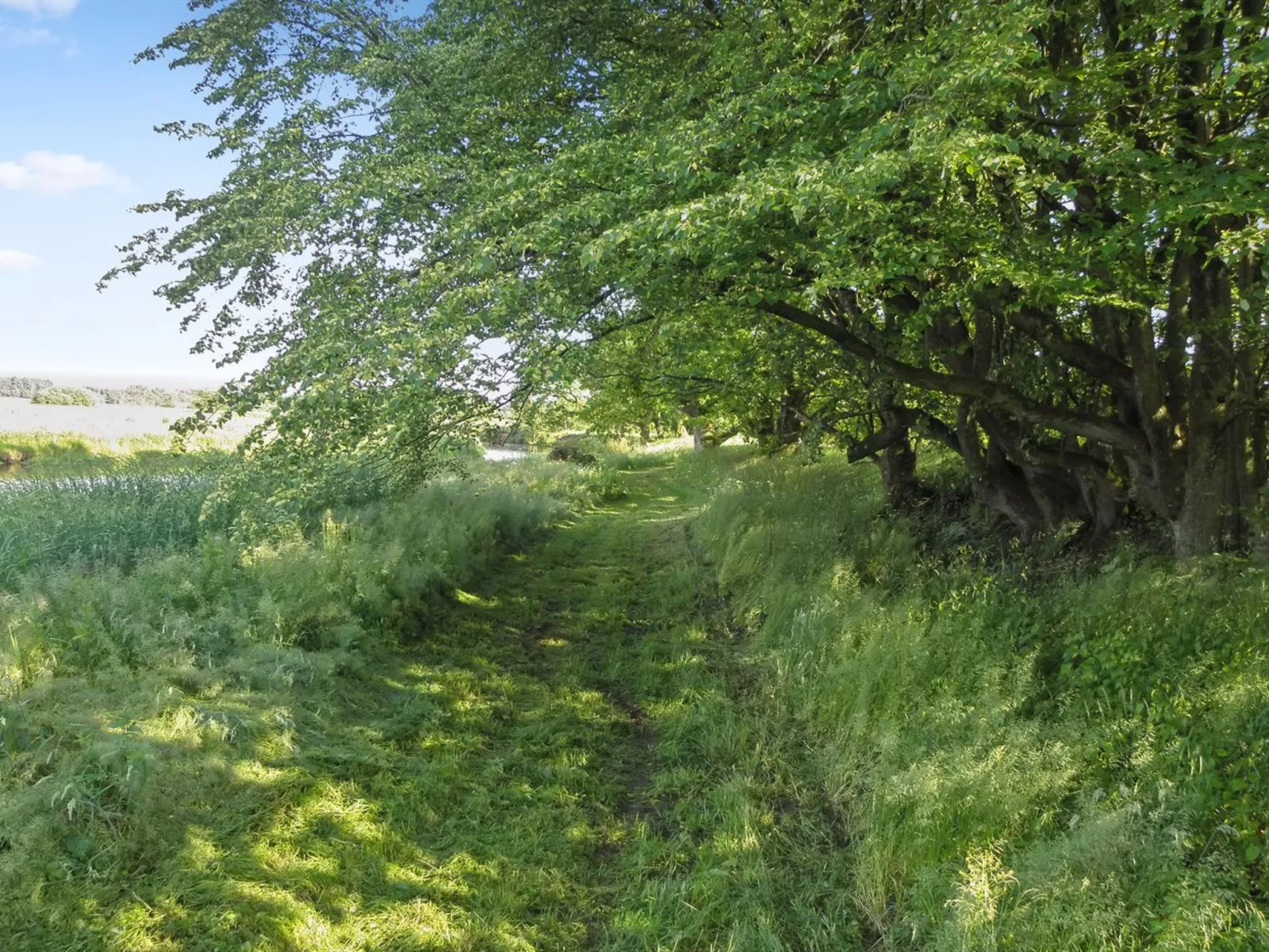 "Beatha" - 25km to the fjord