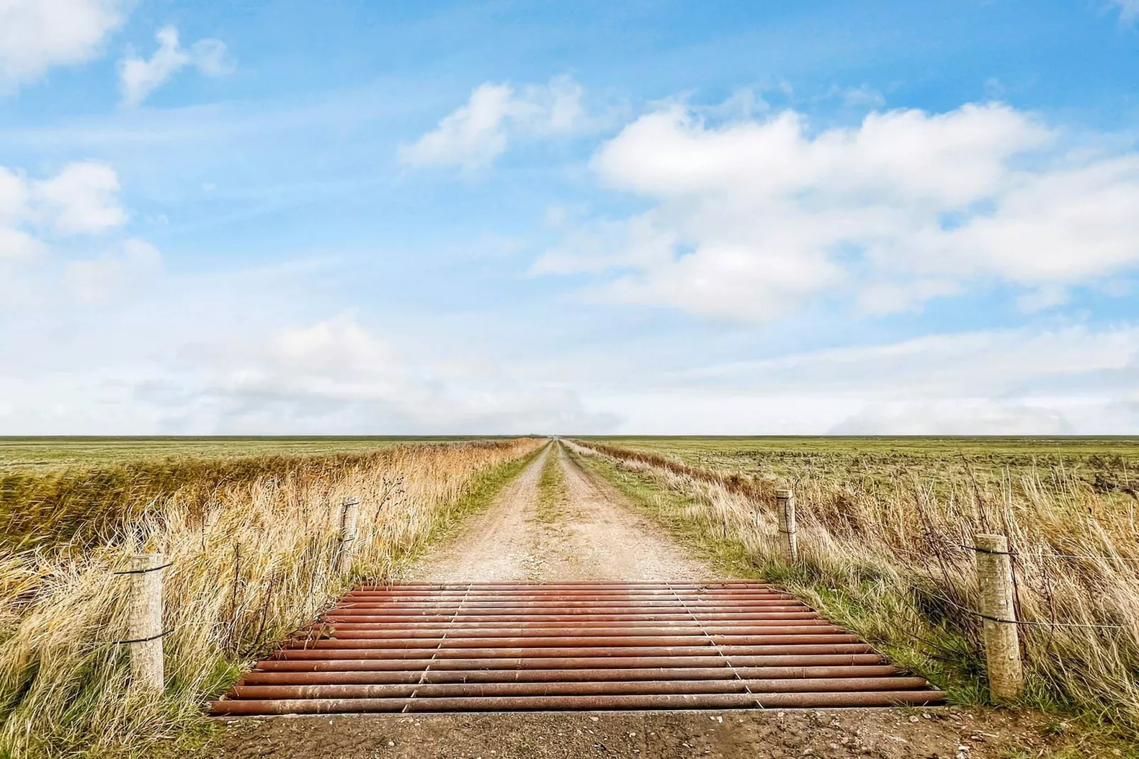 4 persoons vakantie huis in Tønder-By Traum-Buitenlucht