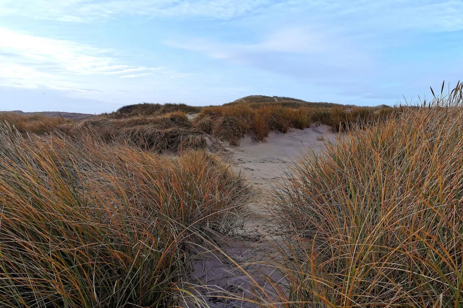 4 persoons vakantie huis in Hemmet-By Traum-Niet-getagd