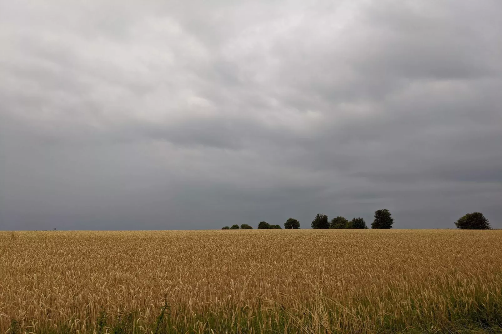 4 persoons vakantie huis in Ærøskøbing-By Traum-Niet-getagd