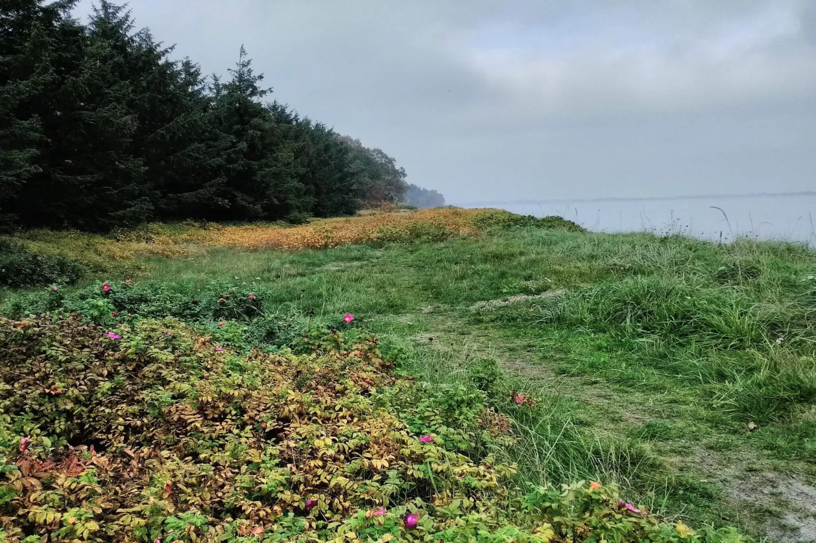 6 persoons vakantie huis in Thyholm-By Traum-Niet-getagd