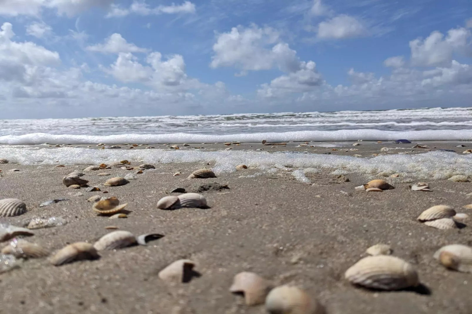 Luxe villa met zwembad -- By Traum Ferienwohnungen-Waterzicht