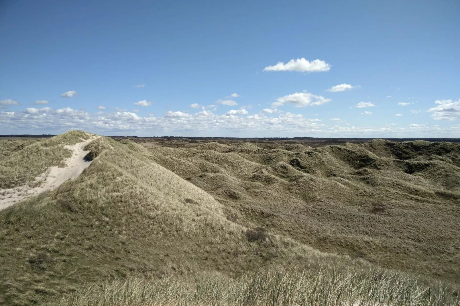 6 persoons vakantie huis in Pandrup-By Traum-Niet-getagd