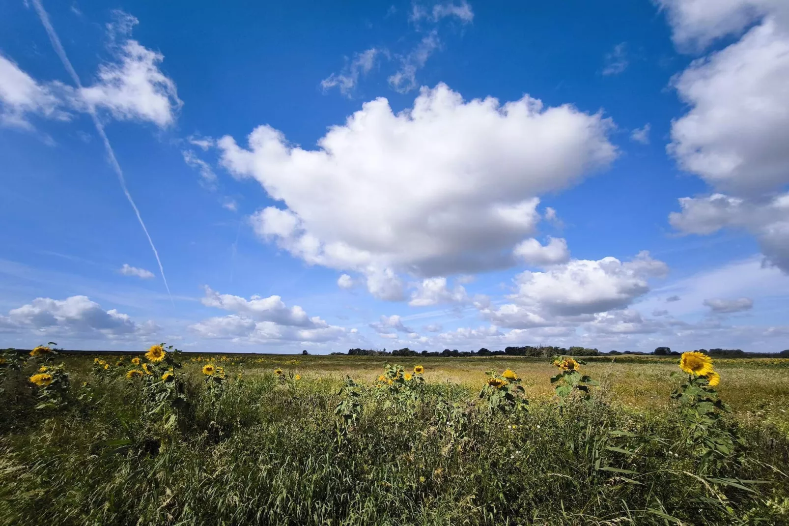 5 persoons vakantie huis in Sydals-By Traum-Niet-getagd