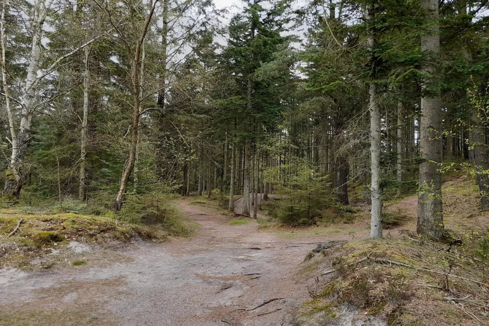 6 persoons vakantie huis in Henne-Niet-getagd