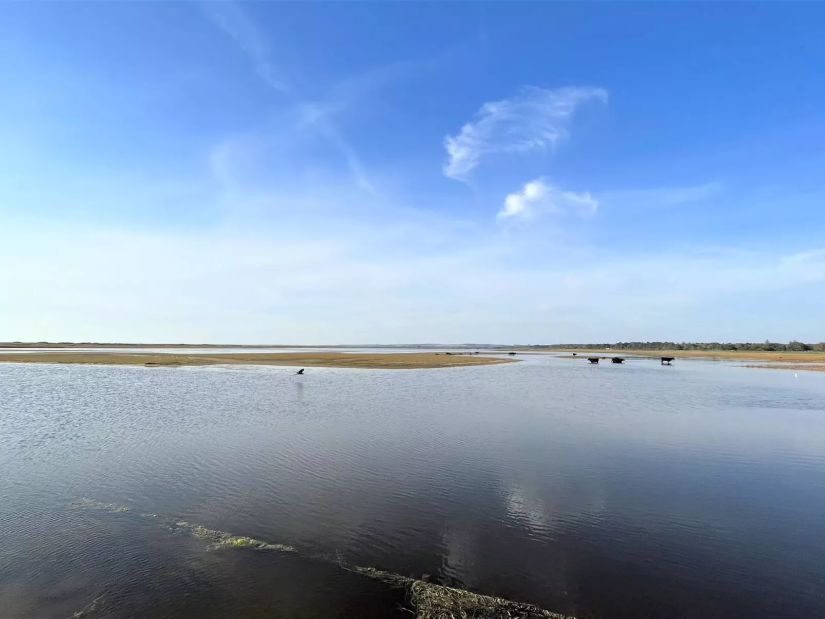 "Mella" - 625m from the sea