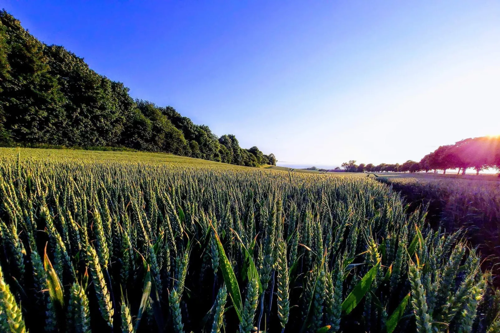 4 persoons vakantie huis in Borre-By Traum-Niet-getagd