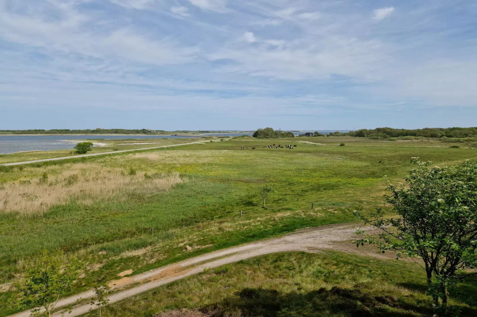 9 persoons vakantie huis in Thyholm-By Traum-Niet-getagd