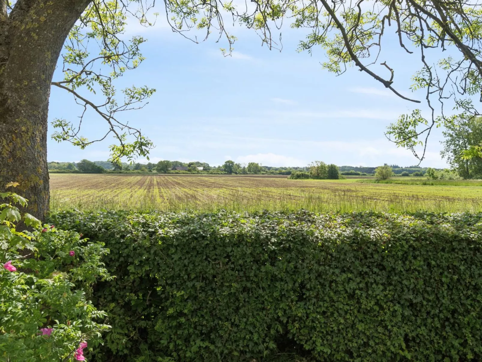 "Adrienne" - 6.4km from the sea