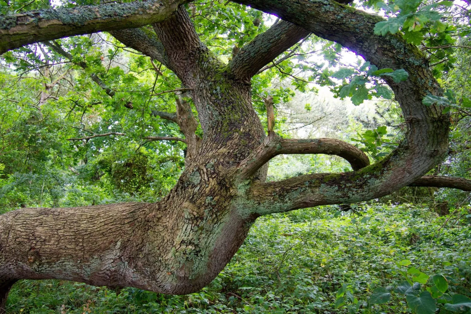 4 sterren vakantie huis in Præstø-By Traum-Niet-getagd