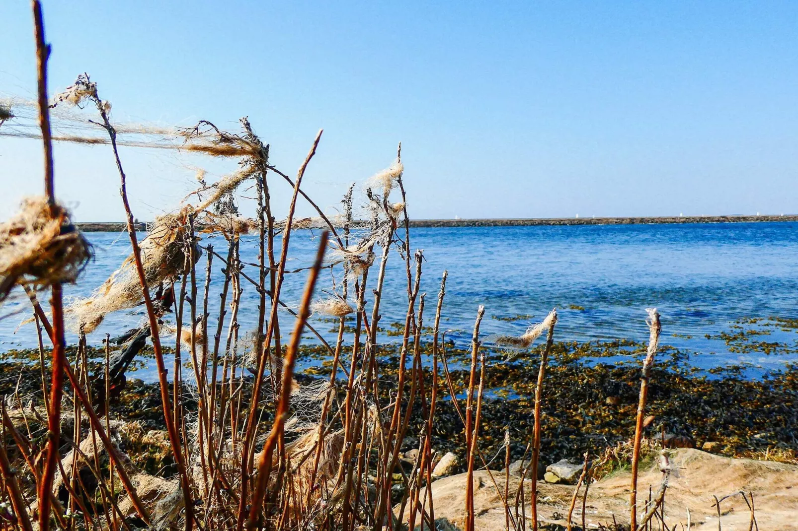 4 persoons vakantie huis in Millinge-By Traum-Waterzicht