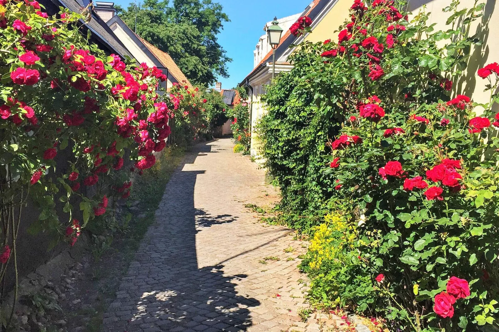 4 sterren vakantie huis in VISBY-Niet-getagd