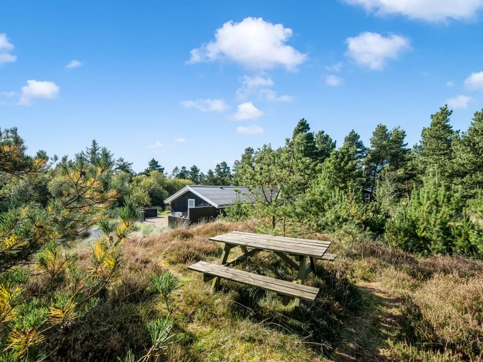 "Eirik" - 2.5km from the sea