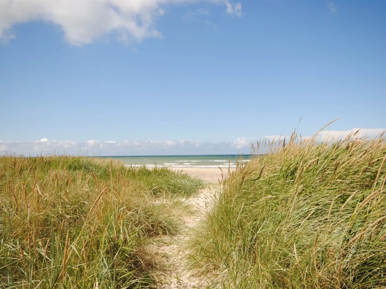 "Fredsine" - 900m from the sea-Buiten