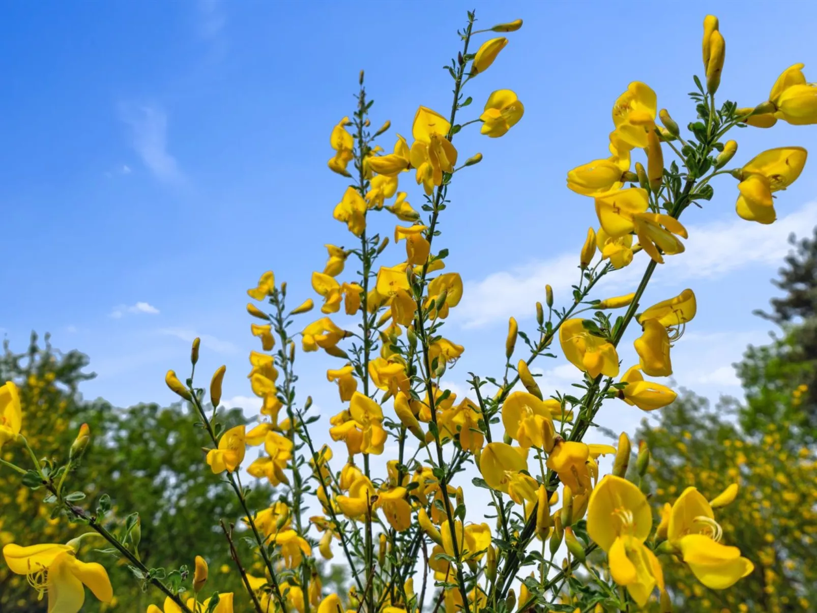 "Ajla" - 500m from the sea