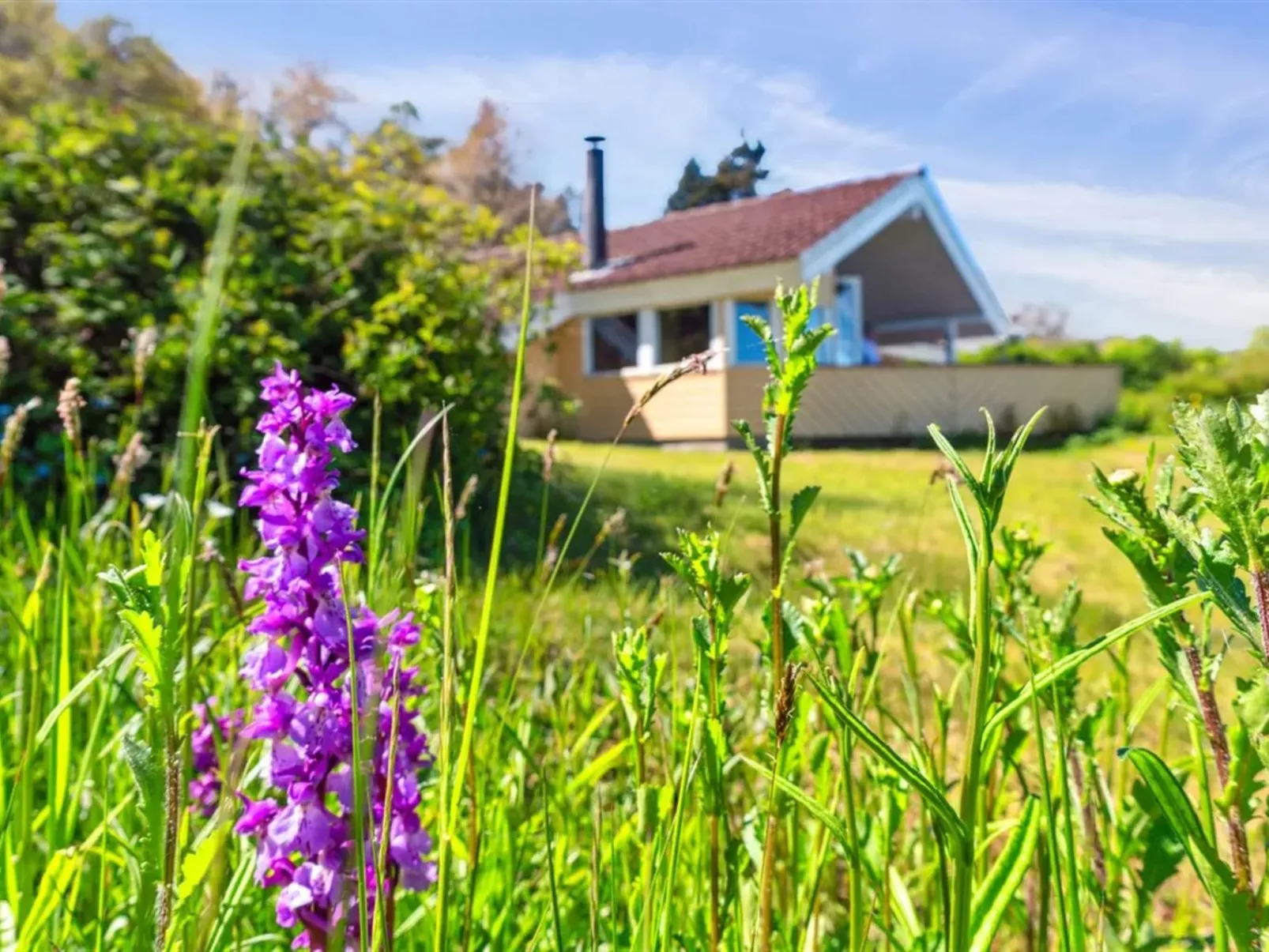 "Henric" - 75m from the sea
