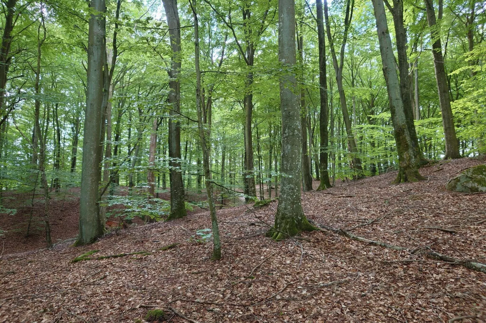 4 sterren vakantie huis in Gärsnäs-Niet-getagd