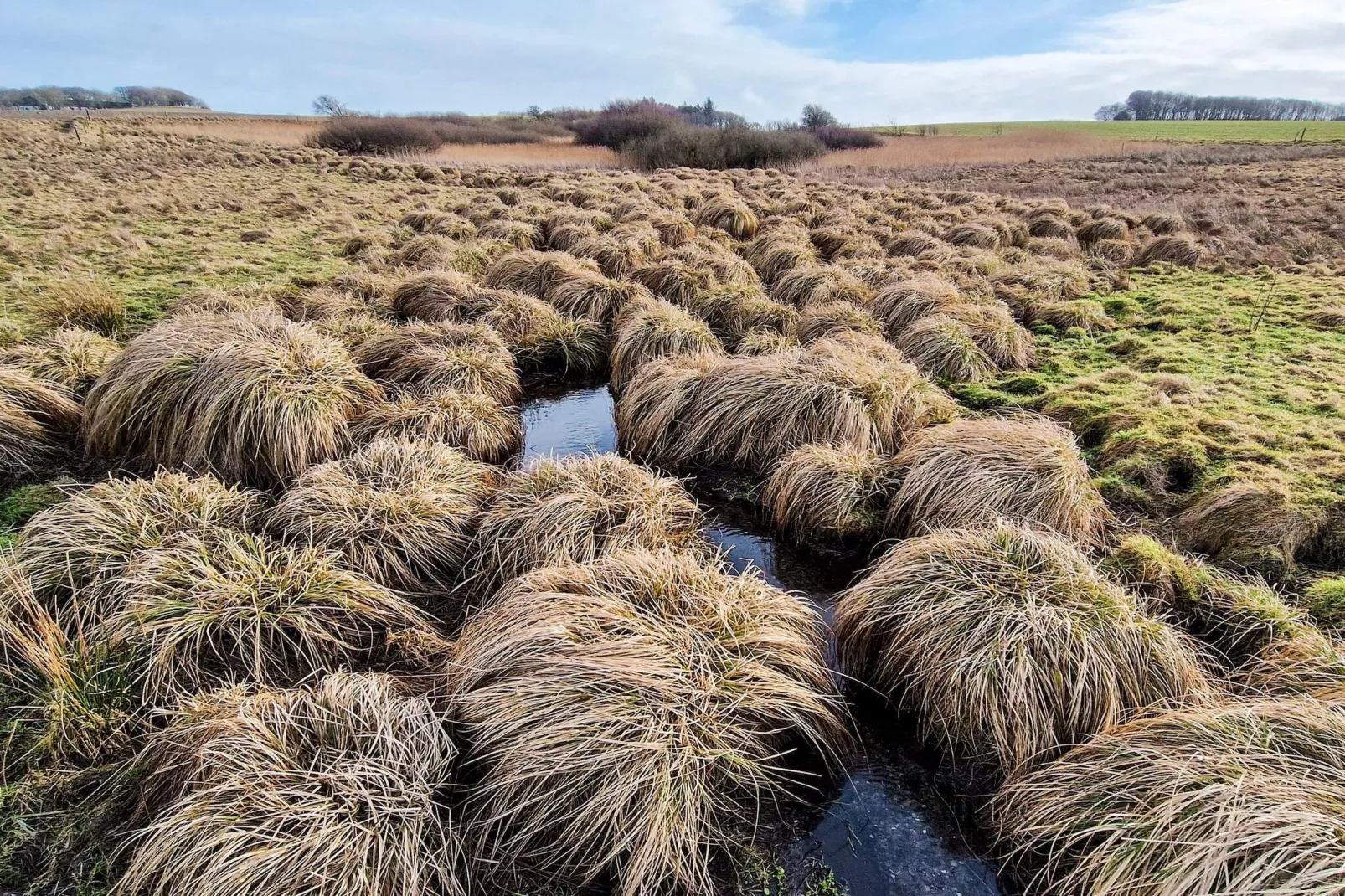 5 sterren vakantie huis in Farsø-By Traum-Niet-getagd
